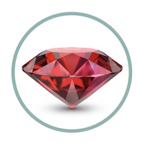 Global Ruby Global Business Advisory • Ruby Investment Level